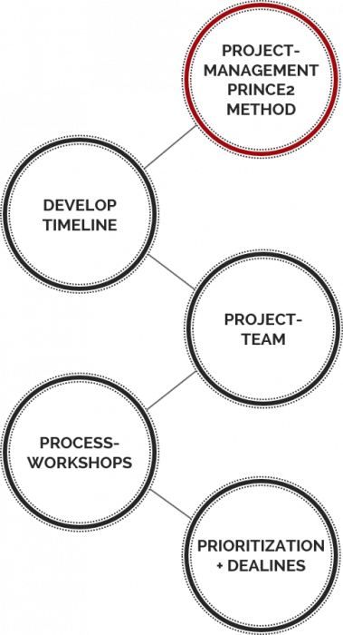 Prince 2 Model